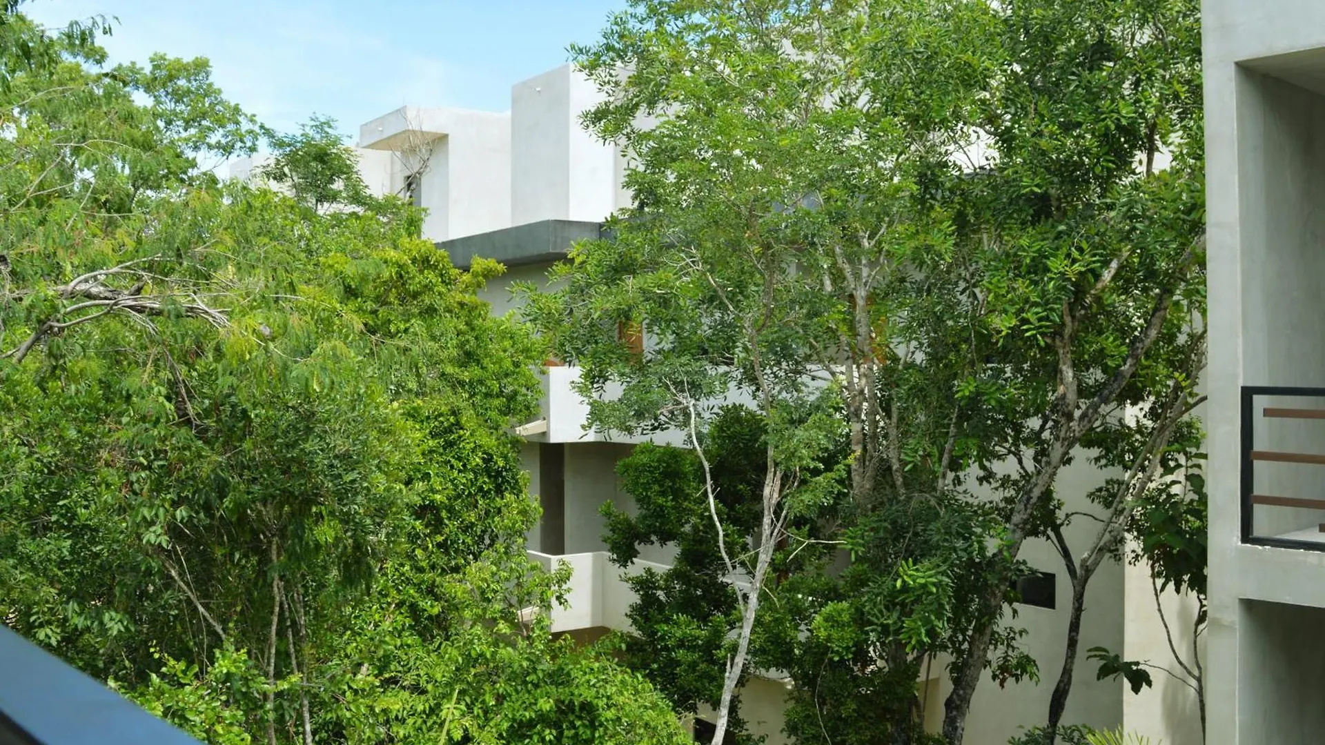 Melaan Jungle Retreat For Adventurers And Private Plunge Pool Apartment Tulum Mexico