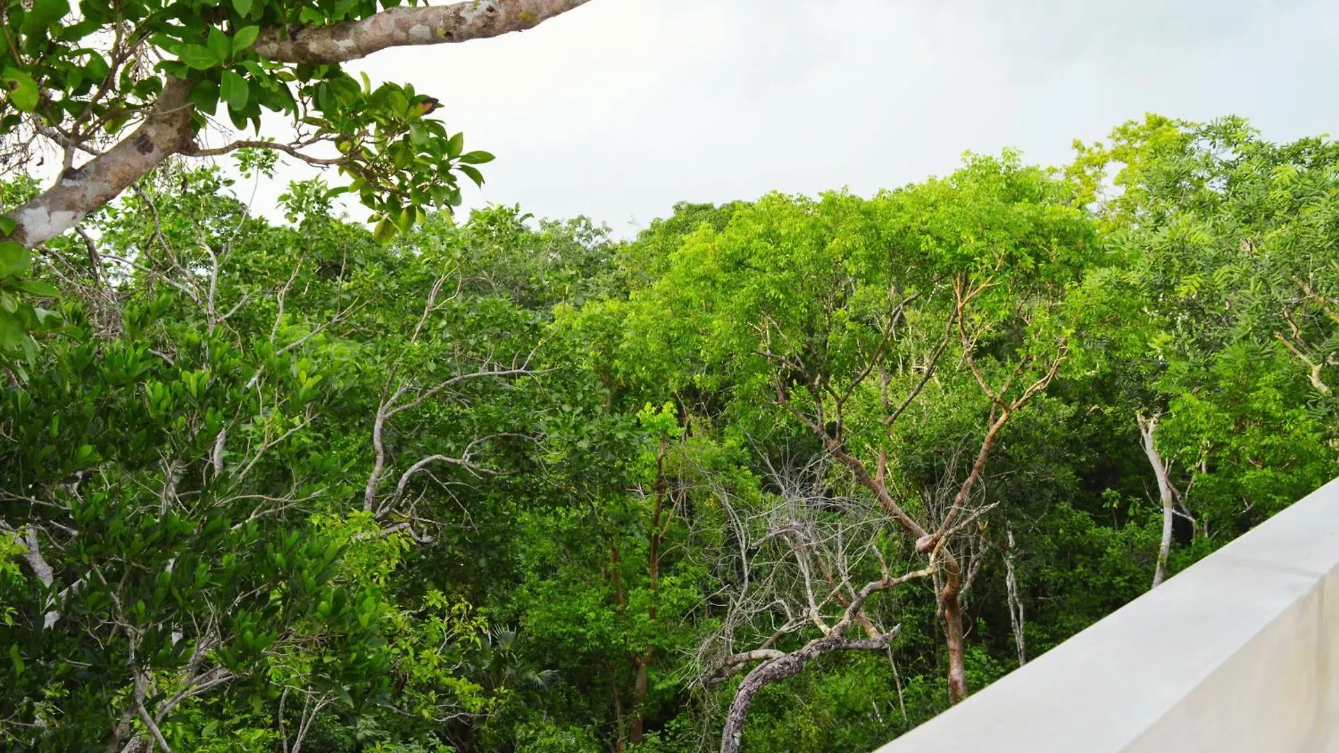 Melaan Jungle Retreat For Adventurers And Private Plunge Pool Apartment Tulum