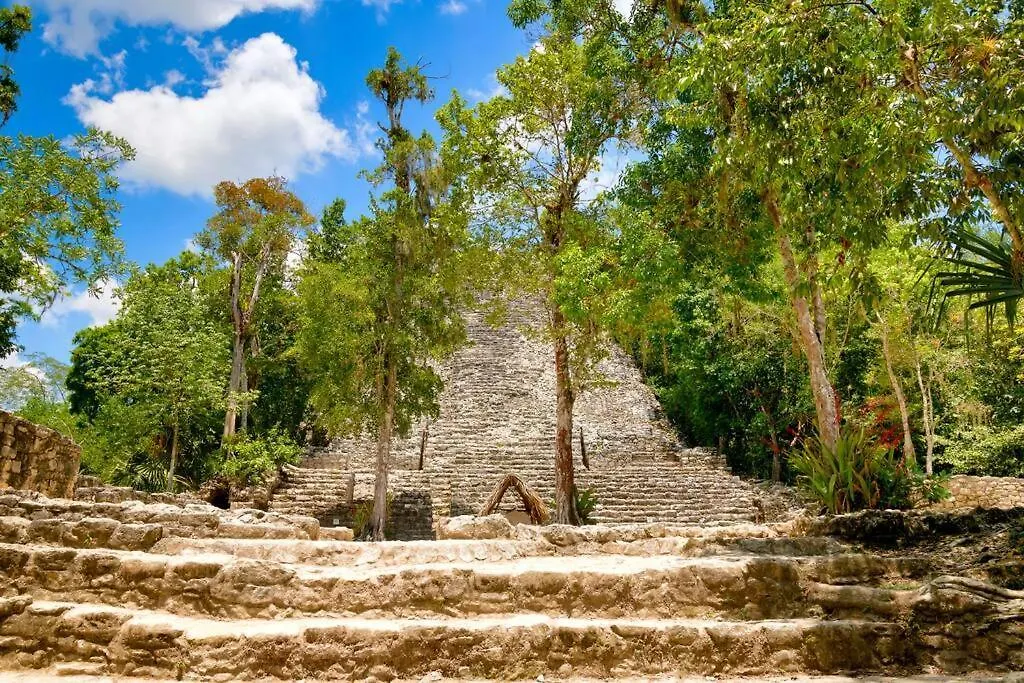 Melaan Jungle Retreat For Adventurers And Private Plunge Pool Apartment Tulum 0*,